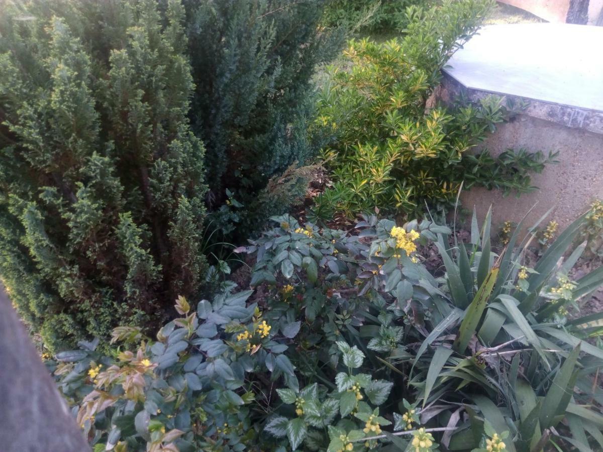 Kuca Za Odmor Mazuran Villa Karlovac Exterior foto
